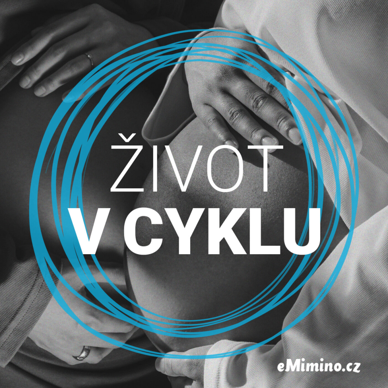 Obrázek epizody Kristýna: Vysněná holčička, ale s komplikacemi