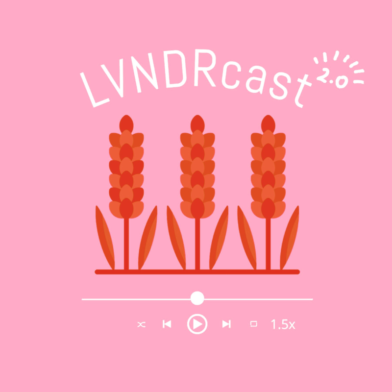 Obrázek epizody KOČKA > SURVIVOR aneb údolí temnoty nekončí