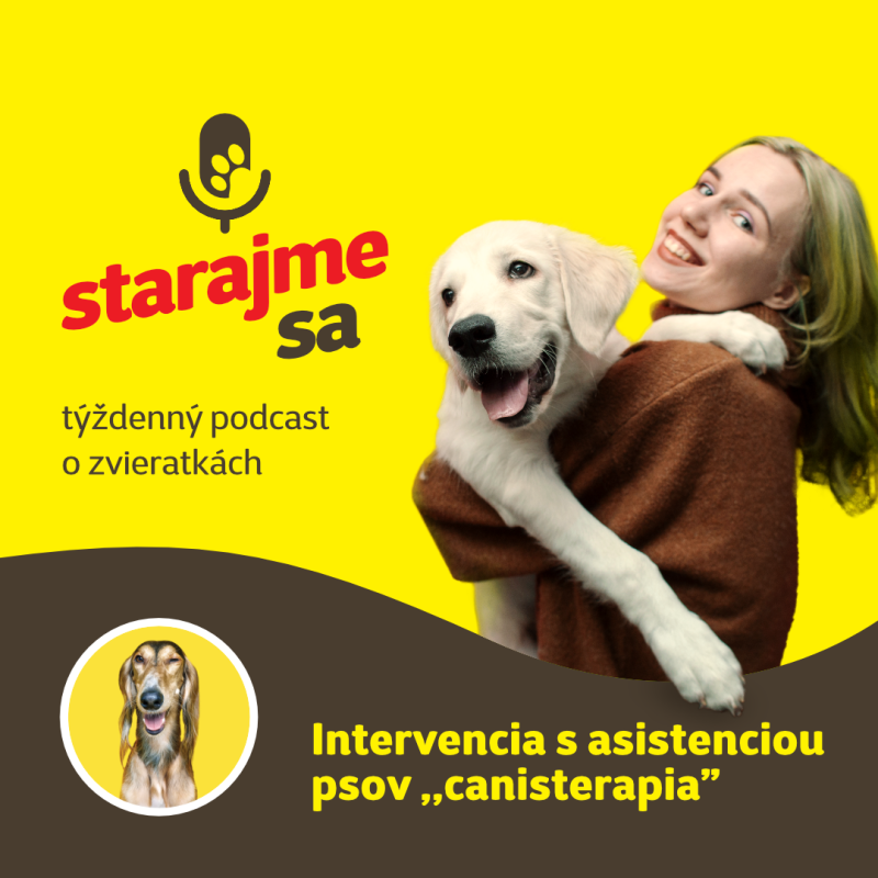 Obrázek epizody Psy: Intervencia s asistenciou psov ,,canisterapia,,