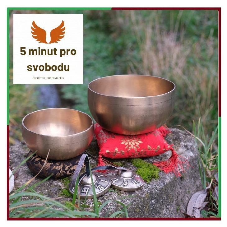 Obrázek epizody MUZIKOTERAPIE