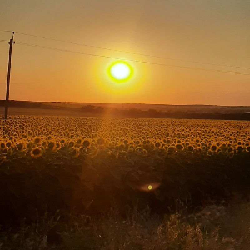 Obrázek epizody Zakarpatya Fm