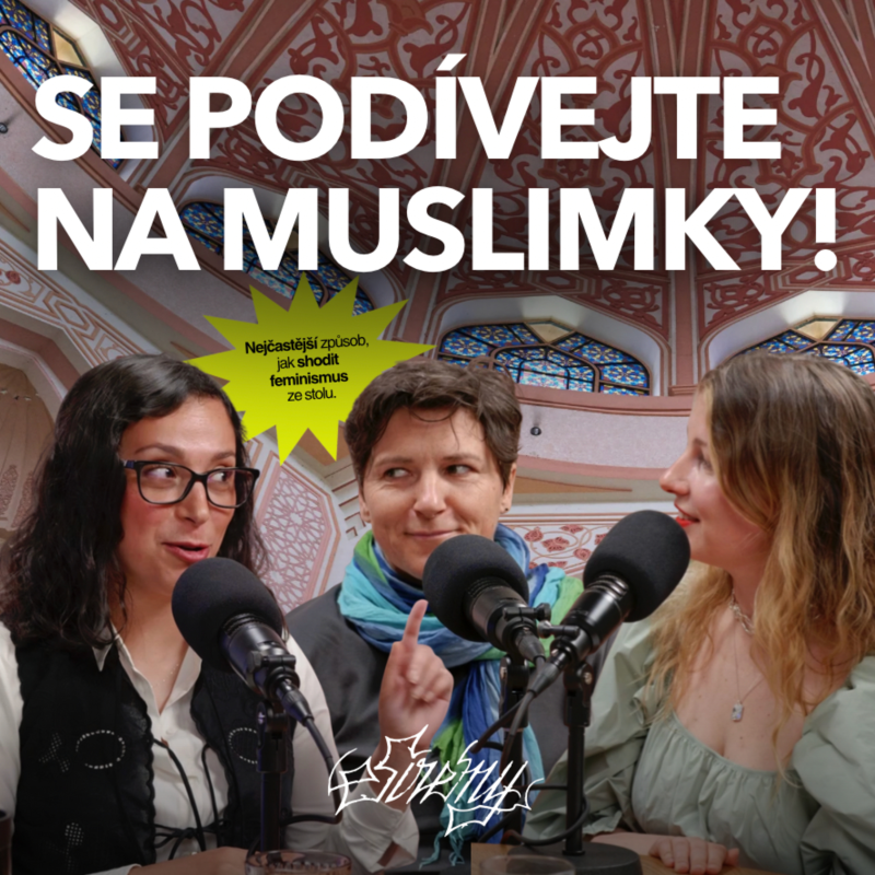 Obrázek epizody Islám a feminismus: Potřebují muslimské ženy zachránit?