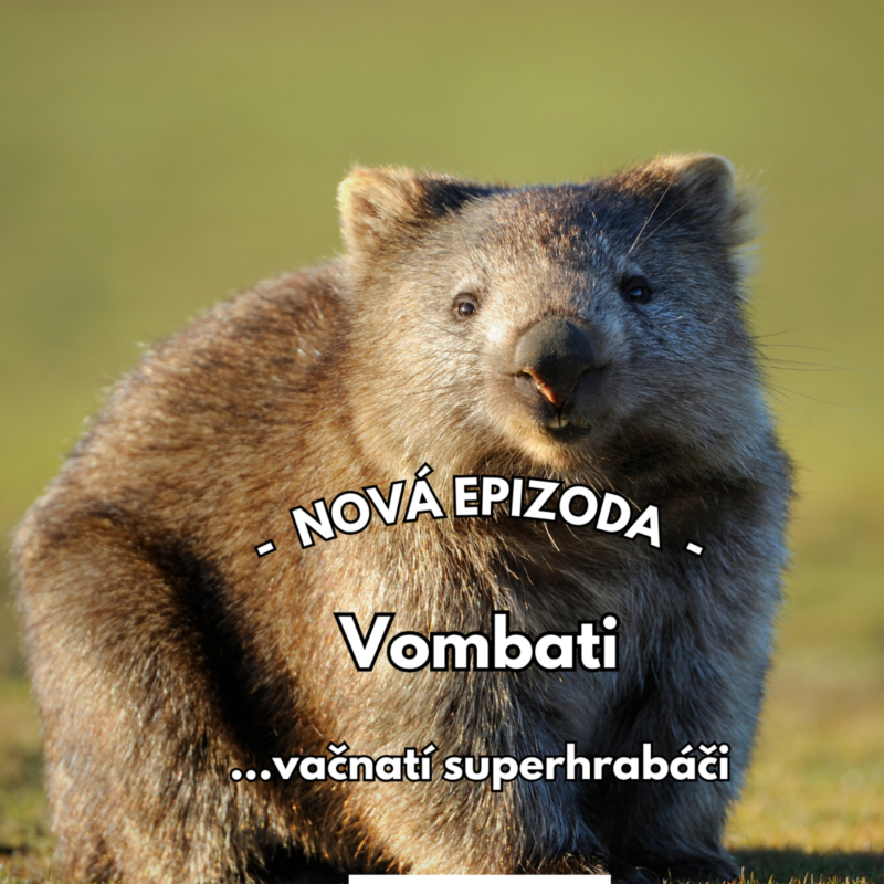 Obrázek epizody 20: Nora plná překvapení