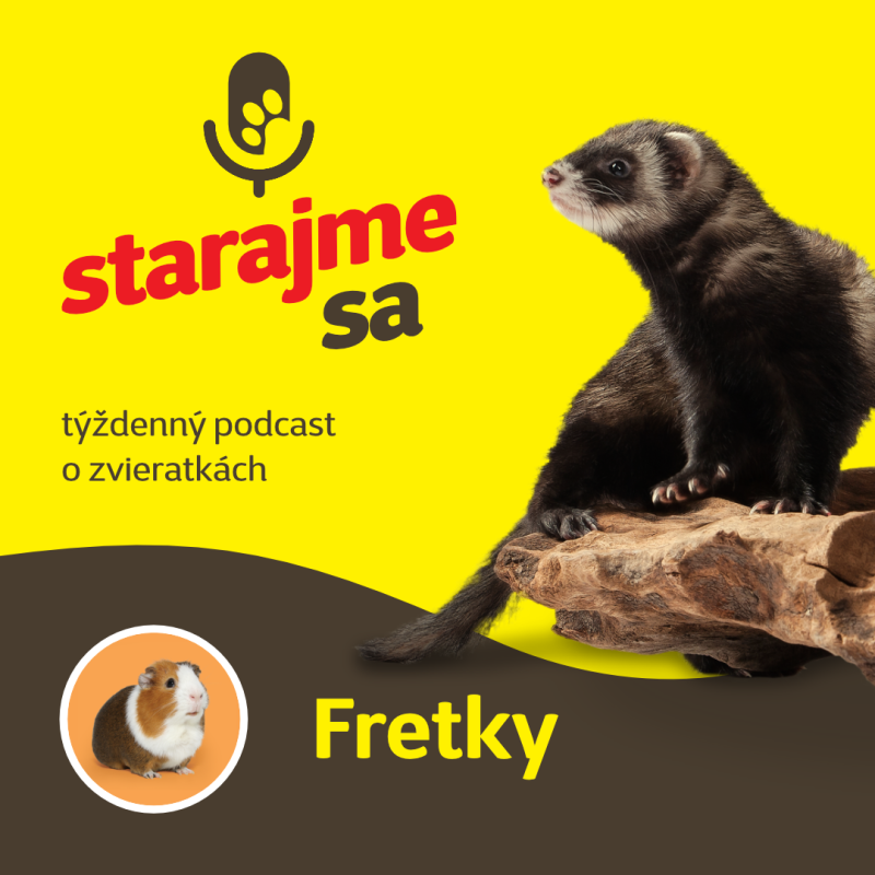 Obrázek epizody Drobné cicavce: Fretky