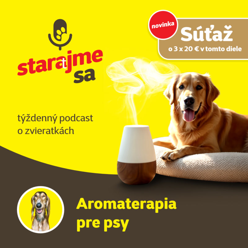 Obrázek epizody Psy:  Aromaterapia pre psy