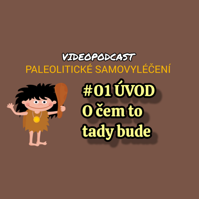 Obrázek epizody #01 ÚVOD: O čem to tady bude