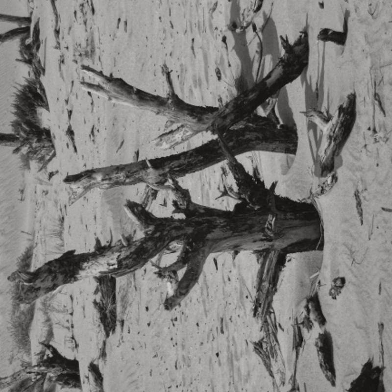 Obrázek epizody Martina Blažeková, Lom, Fra 2013