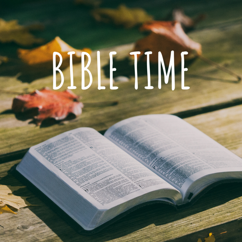 Obrázek epizody 4. 4. 2021