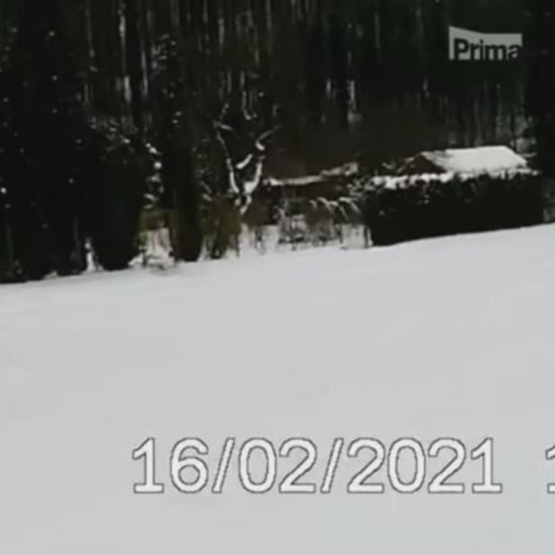 Obrázek epizody Strážníci naháněli pštrosa