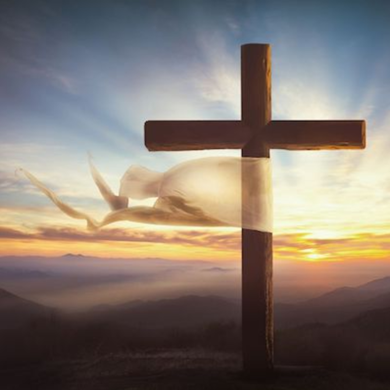 Obrázek epizody Žena se zotavila z ochrnutí po vážné mrtvici a z vysokého krevního tlaku.