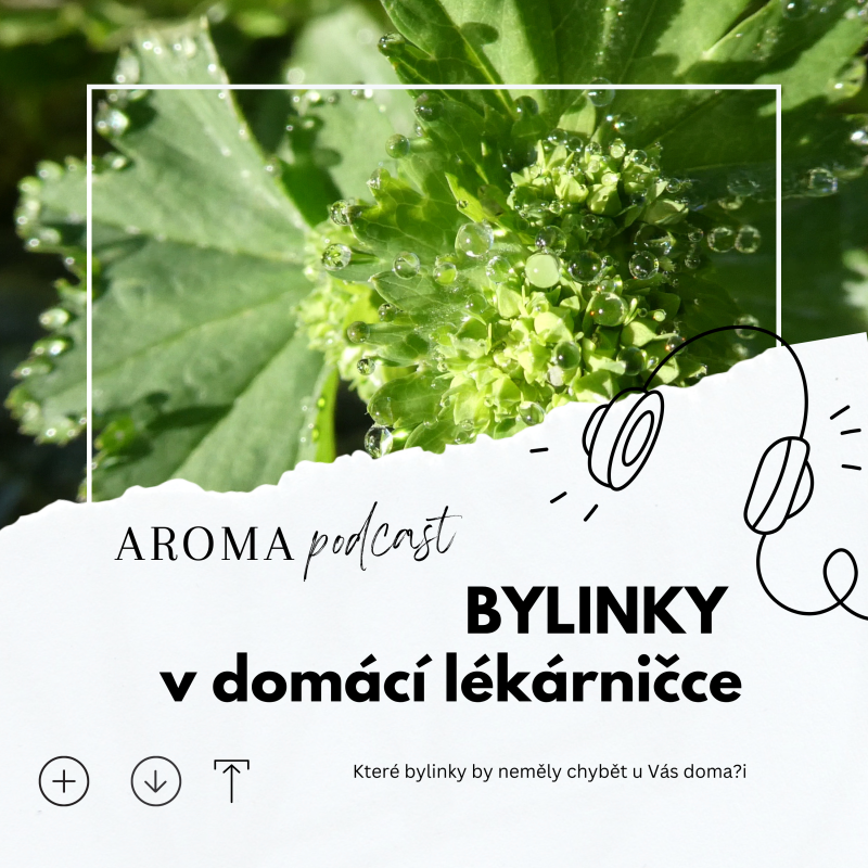 Obrázek epizody #008 Bylinky v domácí lékárničce