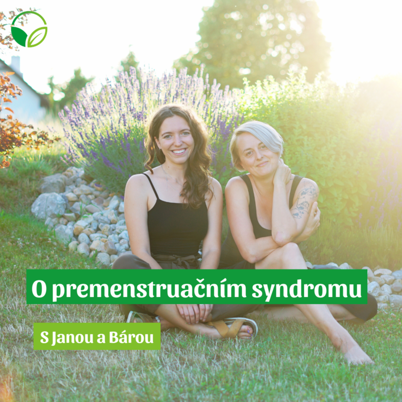 Obrázek epizody O všem s Janou a Bárou | Premenstruační syndrom (PMS)
