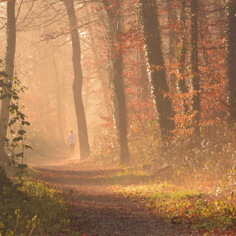Obrázek epizody Cesta a chodníček