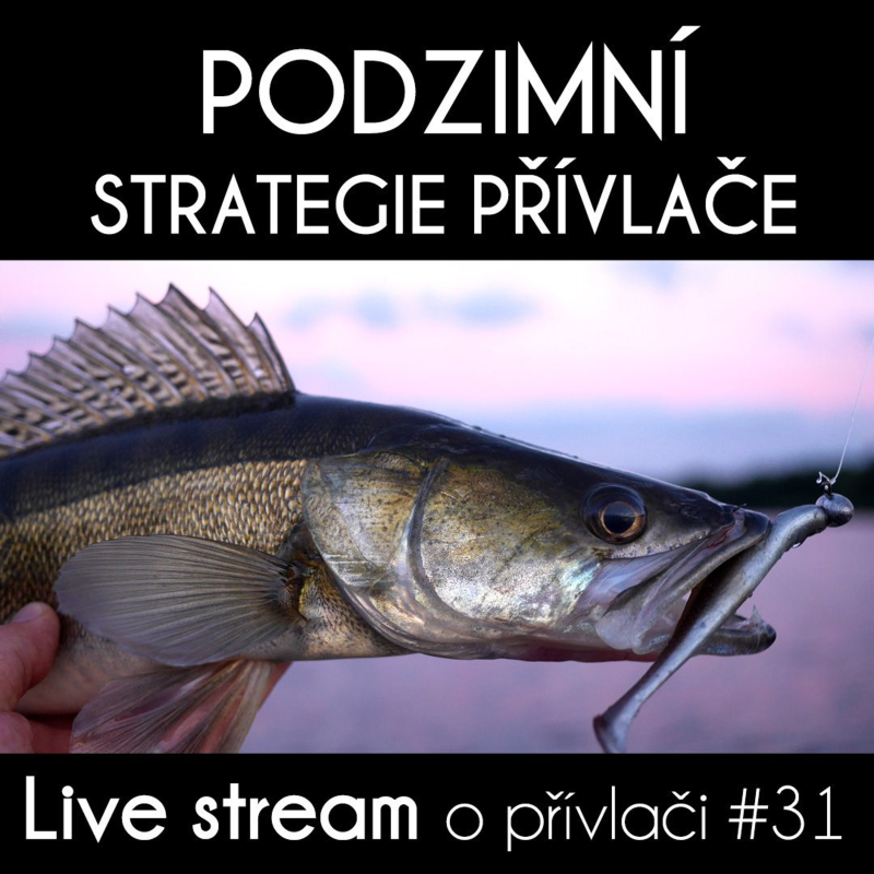 Obrázek epizody Přívlač Live #31 - Aktuální Podzimní Strategie Lovu