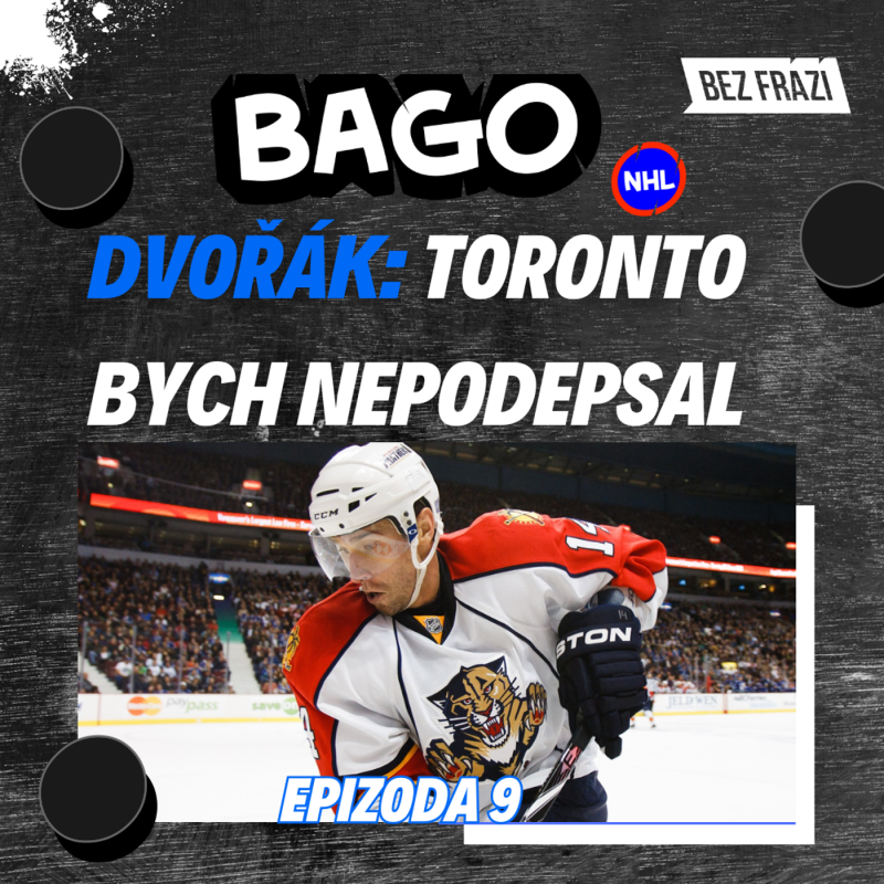 Obrázek epizody Proč je Florida nejlepší? A může ji porazit Edmonton? | Bago NHL #9 s Radkem Dvořákem