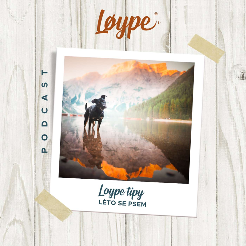Obrázek epizody 120 | Léto se psem | Loype tipy