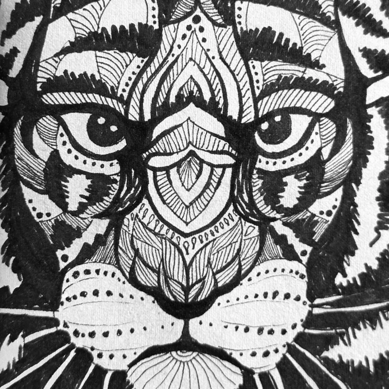 Obrázek epizody 8 - O ženě a tygrovi