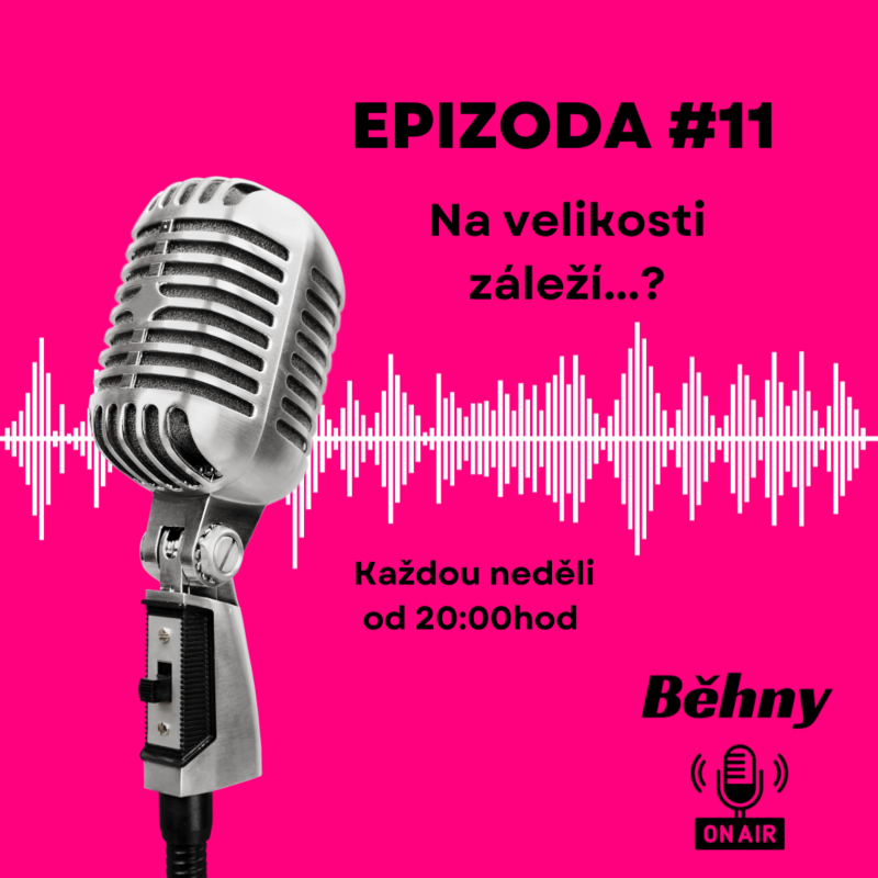 Obrázek epizody #8 Znásilnění vol.2