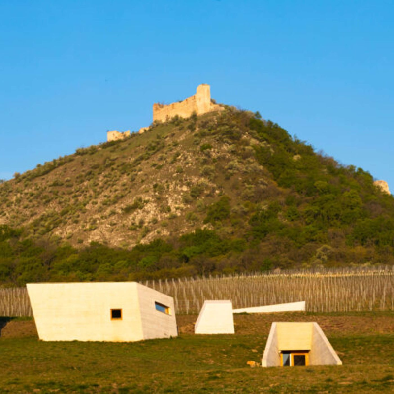 Obrázek epizody Výlet na jižní Moravu: Vydejte se do období paleolitu nebo na zámek, kterým prošly dějiny