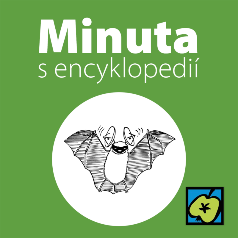 Obrázek epizody Radar