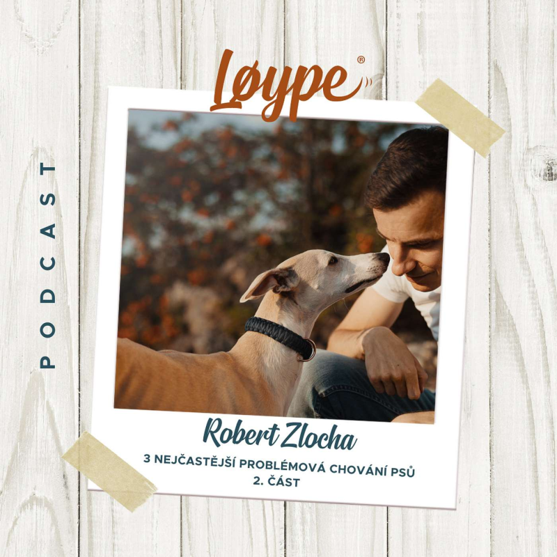 Obrázek epizody 84 | 3 nejčastější problémová chování psů | 2. část – tahání na vodítku | Robert Zlocha