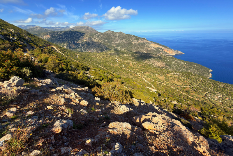 Obrázek epizody Zprávy z lesa #126 🕸️