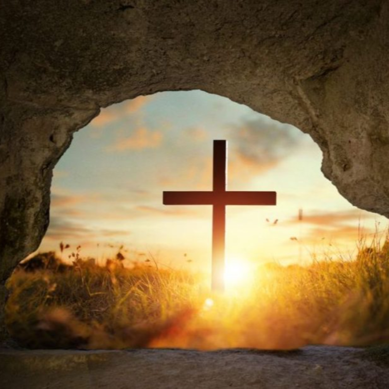 Obrázek epizody Žena zázračně vyléčená z rakoviny krve.