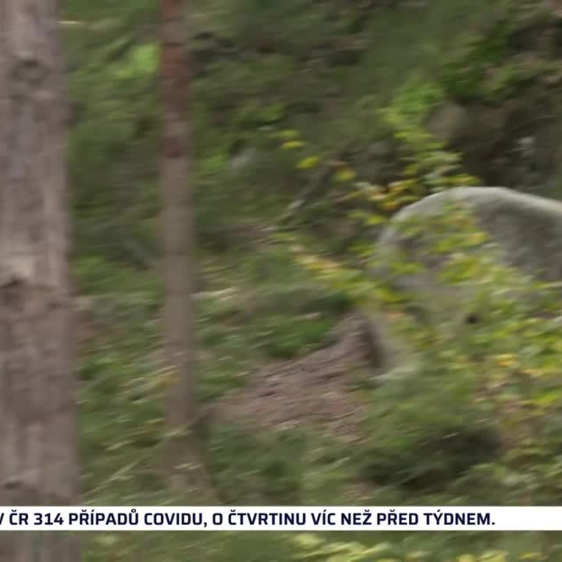 Obrázek epizody Zprávy z regionů 4.10.2021