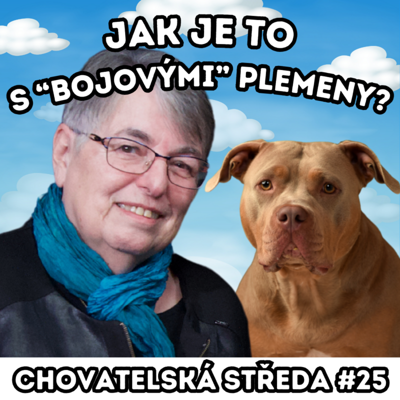 Obrázek epizody 🐶 Jak je to s "BOJOVÝMI" plemeny? 🐶 | Chovatelská středa #25