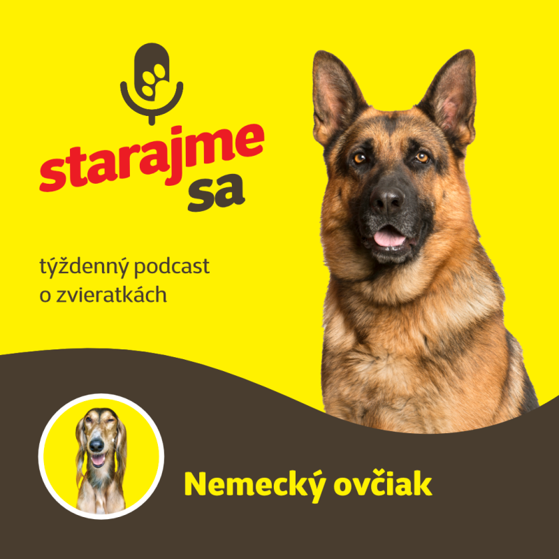 Obrázek epizody Psy: Nemecký ovčiak