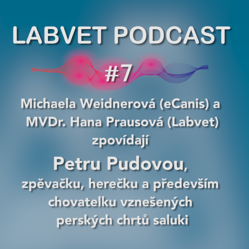Obrázek epizody O salukách s Petrou Pudovou