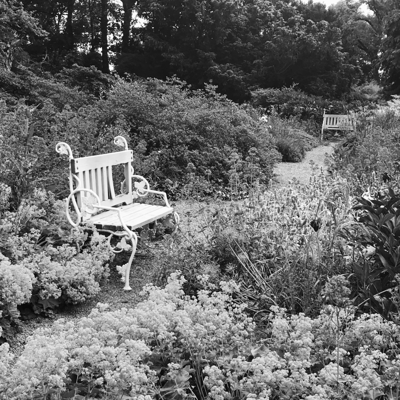 Obrázek epizody Pavel Pola: Květnice