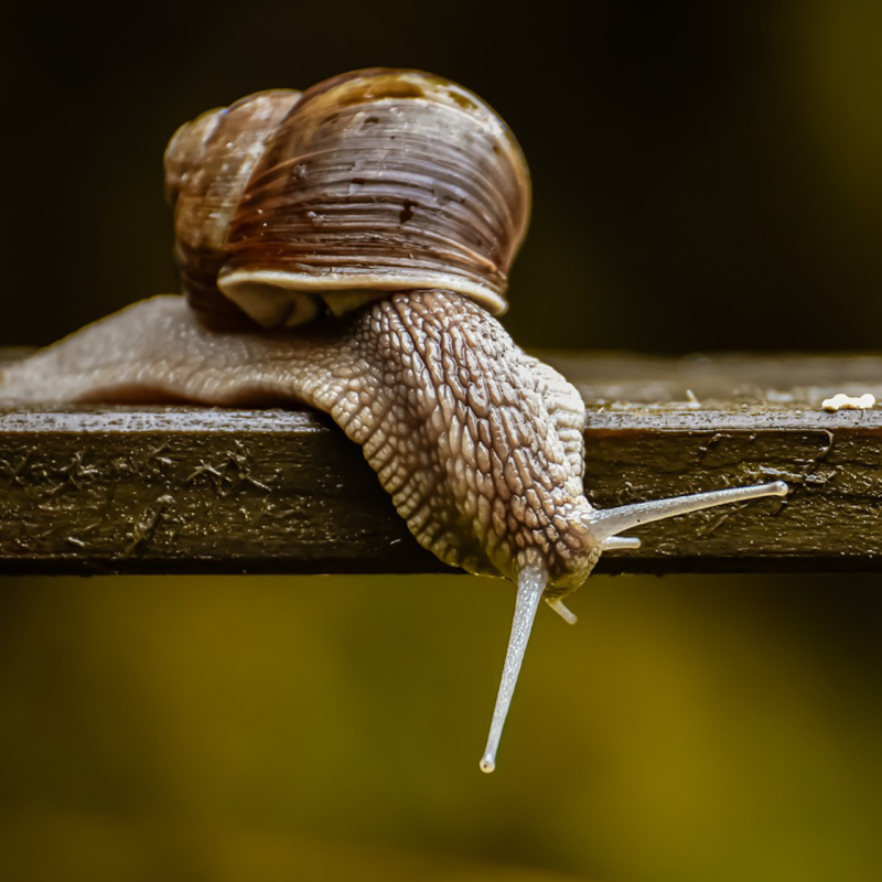 Obrázek epizody BONUS: Zvyš kvalitu života tím, že zpomalíš (2. díl)