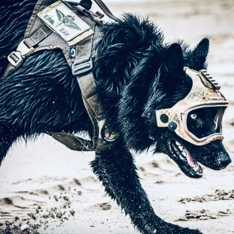 Obrázek epizody Episode 12 - Isabella's podcast