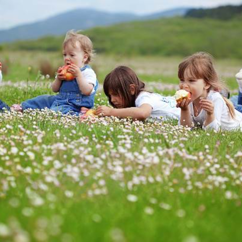 Obrázek epizody Vánoce - litujme i malých hříchů