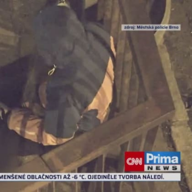 Obrázek epizody Záchrana ženy na mostě