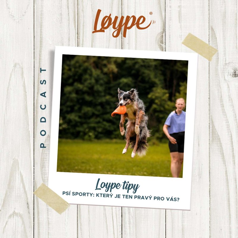 Obrázek epizody 123 | Psí sporty: Který je ten pravý pro vás? | Loype tipy