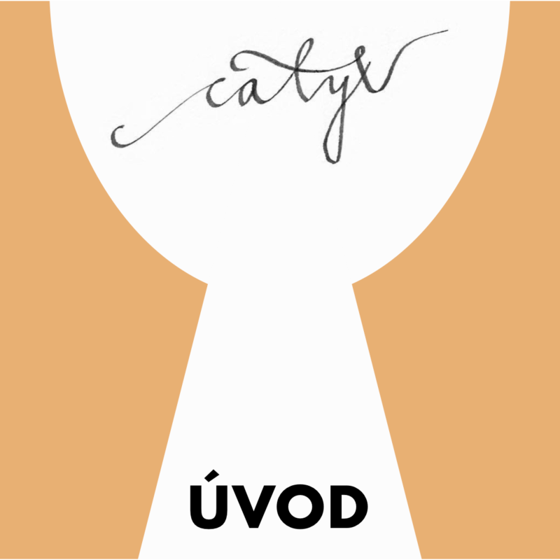 Obrázek epizody Úvod