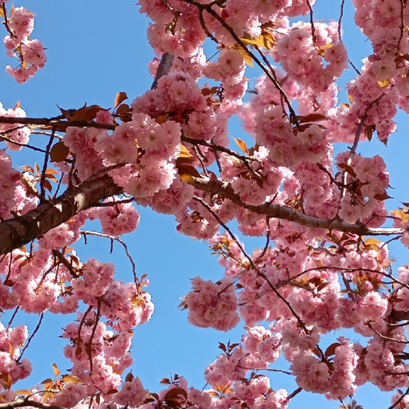 Obrázek epizody Přípravy na pohádku 👸🏼🐉🧚🏼‍♀️