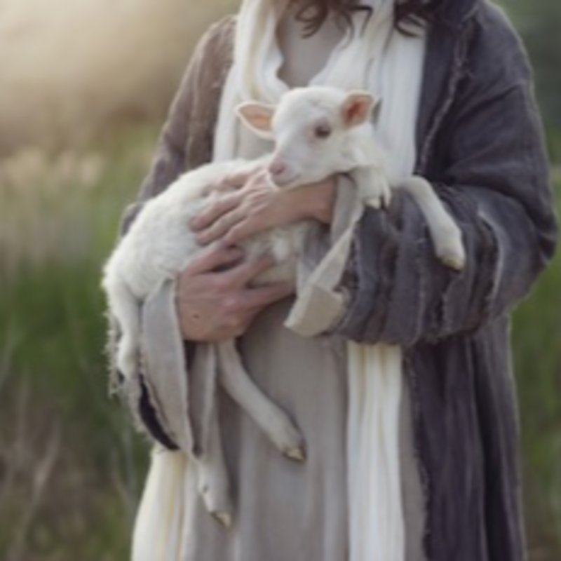 Obrázek epizody Muž vysvobozený z pásového oparu.