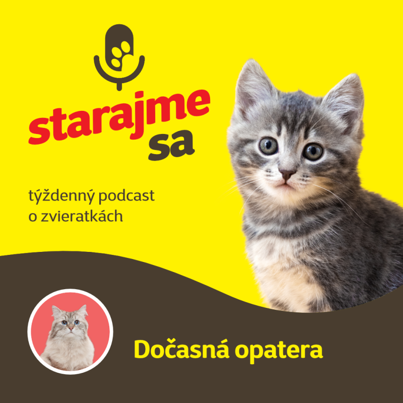 Obrázek epizody Mačky: Dočasná opatera