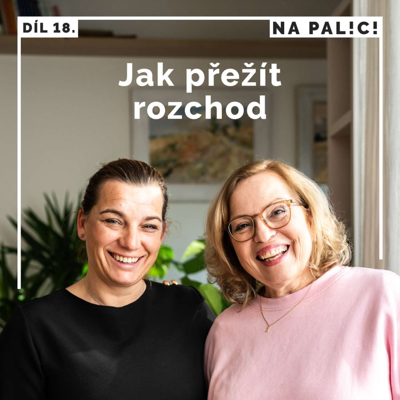 Obrázek epizody 18. díl - Jak přežít rozchod