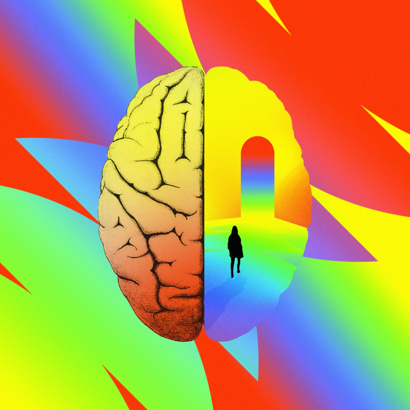 Obrázek epizody The Ecstasy of an Open Brain