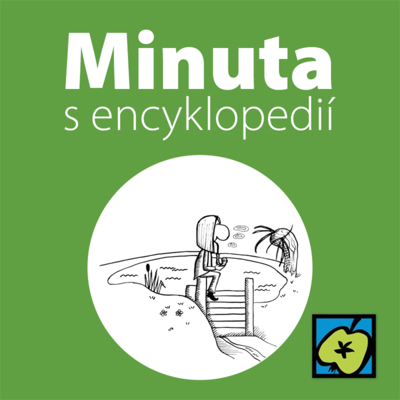 Obrázek epizody Rybníkářství