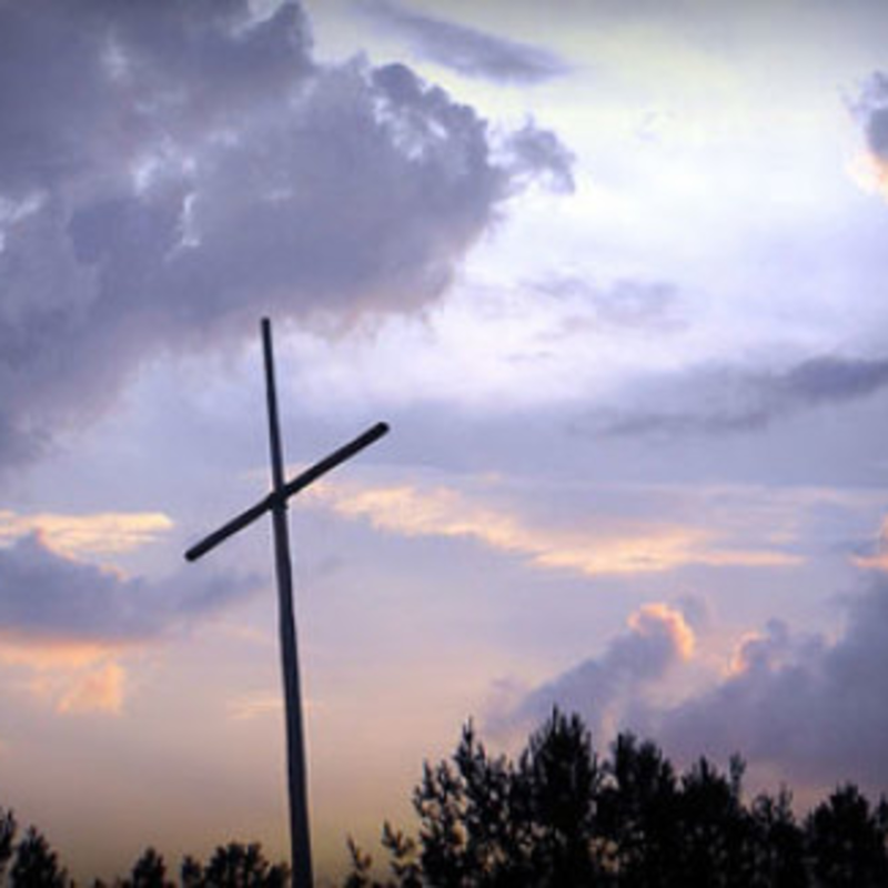 Obrázek epizody Žena je zázračně vyléčena z hemoroidální choroby.