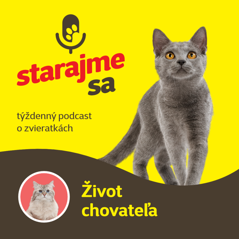 Obrázek epizody Mačky: Život chovateľa