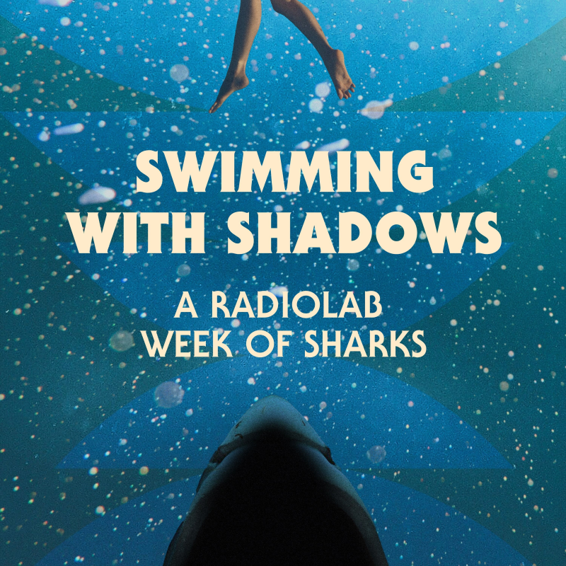 Obrázek epizody Swimming with Shadows: A Radiolab Week of Sharks