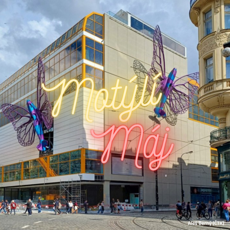 Obrázek epizody IX/51. Motýlí Máj