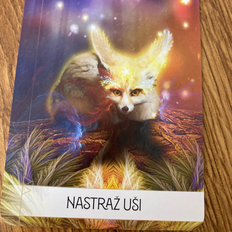 Obrázek epizody Dech v józe v zimním období ❄️ Kdy nás podporuje a kdy už je to tlak na výkon?