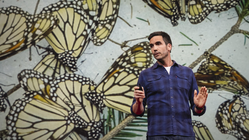 Obrázek epizody The magical, mesmerizing migration of monarch butterflies | Jaime Rojo